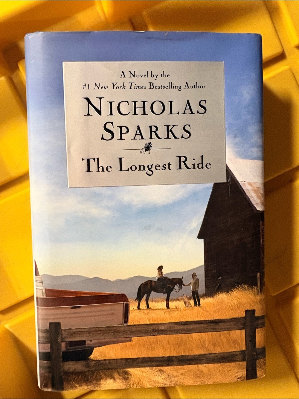 Nicholas sparks The longest Ride